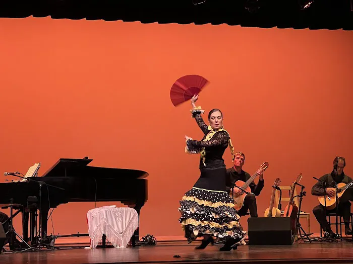 Suspiro Flamenco Dance Company Picture 3