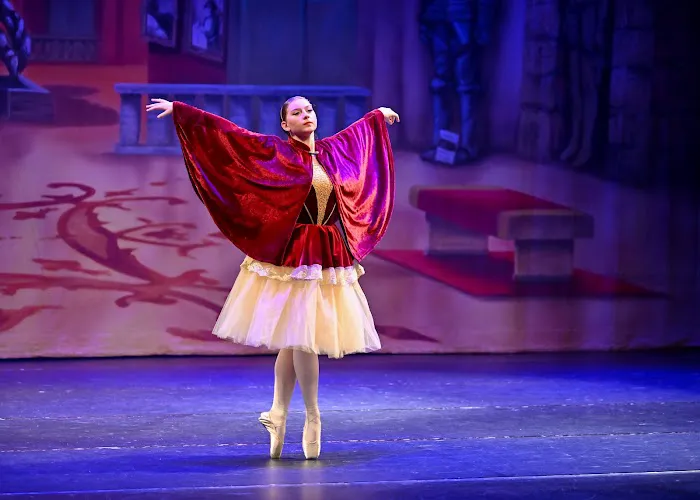 The Philadelphia Dance Academy Picture 5