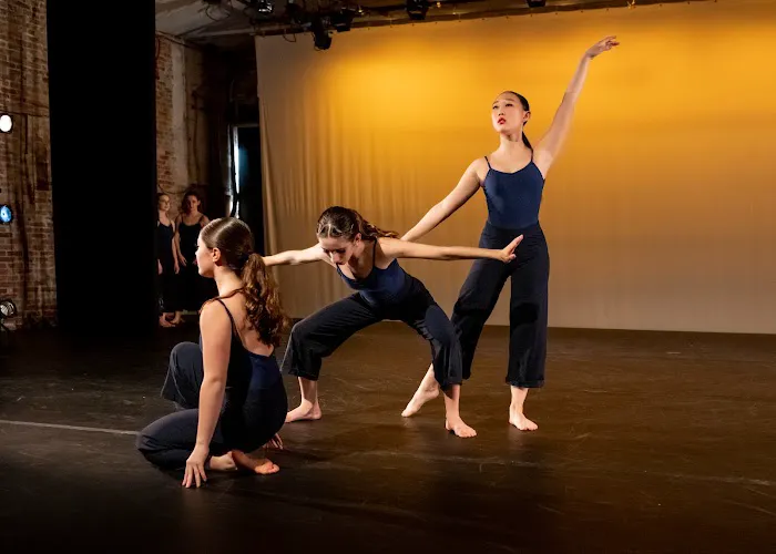 The Philadelphia Dance Academy Picture 9
