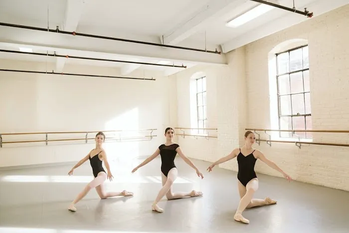 The Philadelphia Dance Academy Picture 6