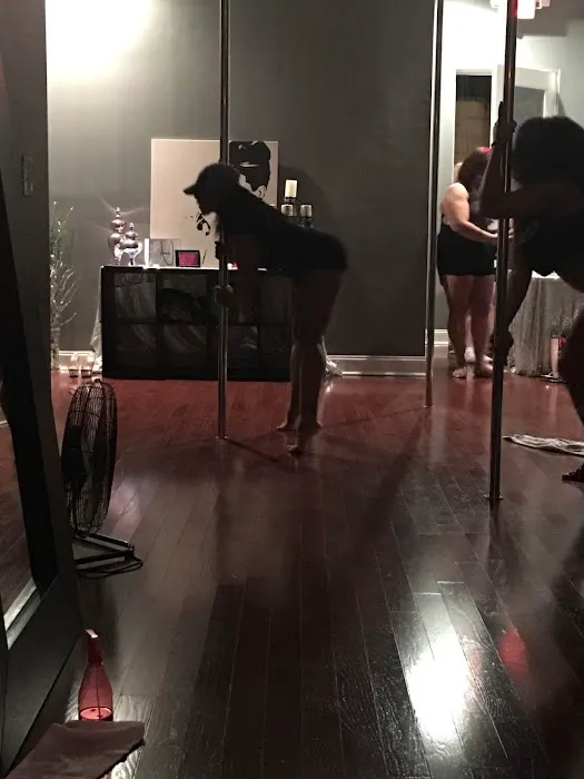The Pole Studio Picture 1