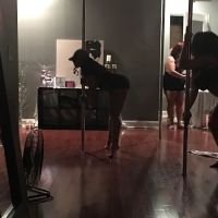 The Pole Studio ico