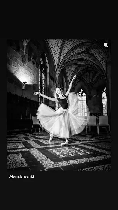 Academy of International Ballet Picture 8