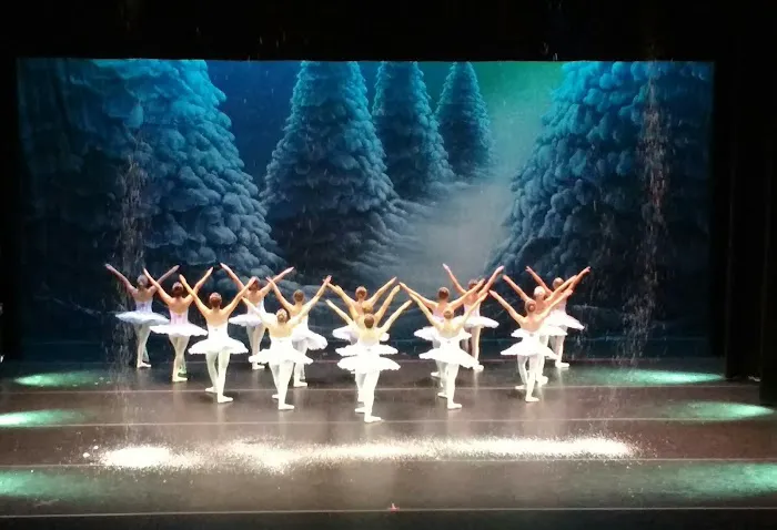 St John's School of the Arts Picture 1