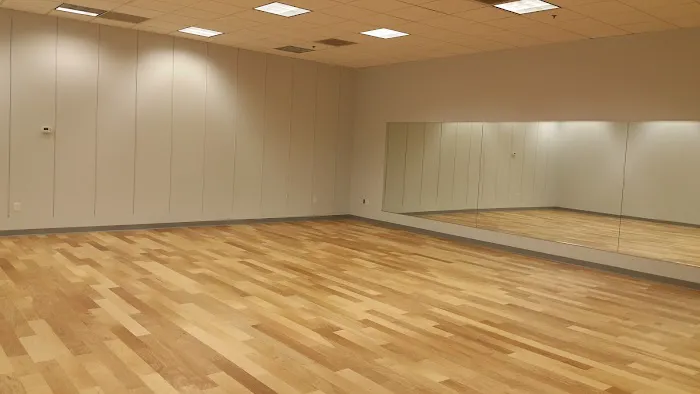 Tap 'n Arts Dance Studio Picture 7
