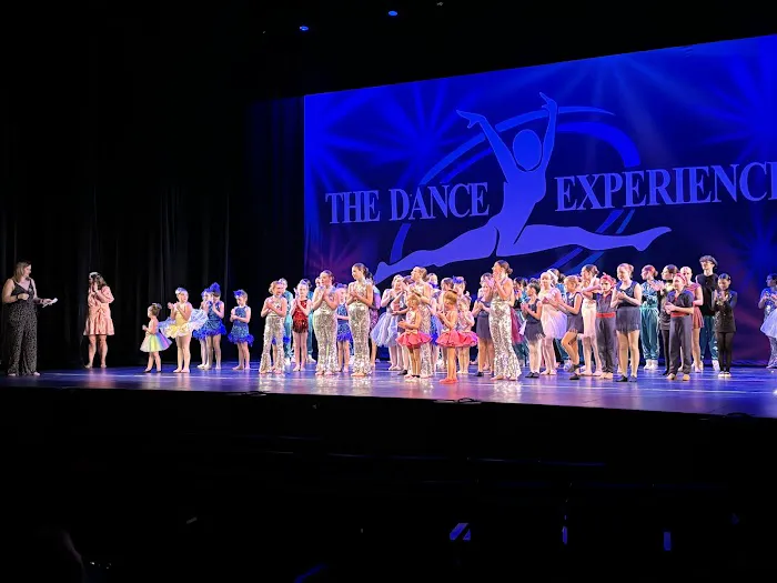 The Dance Experience Picture 1