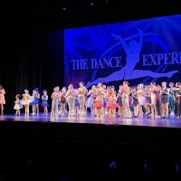 The Dance Experience ico