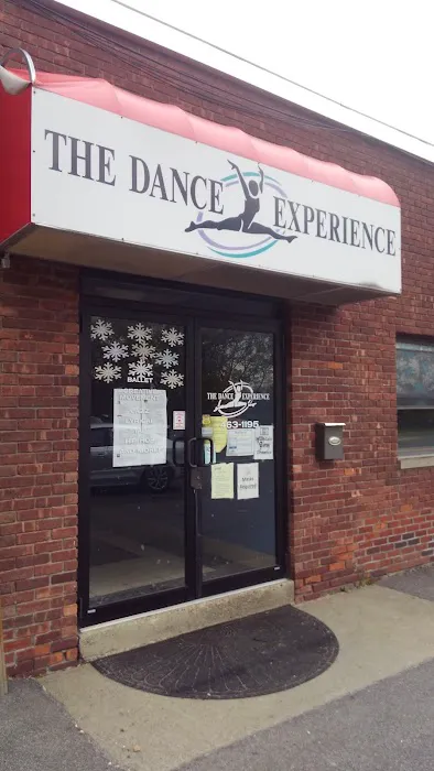 The Dance Experience Picture 9