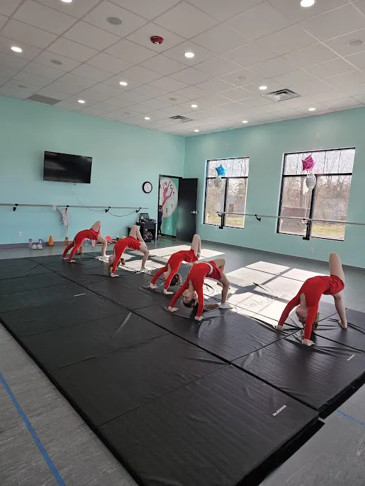 Fancy Feet Dance Studio -Troy Picture 1