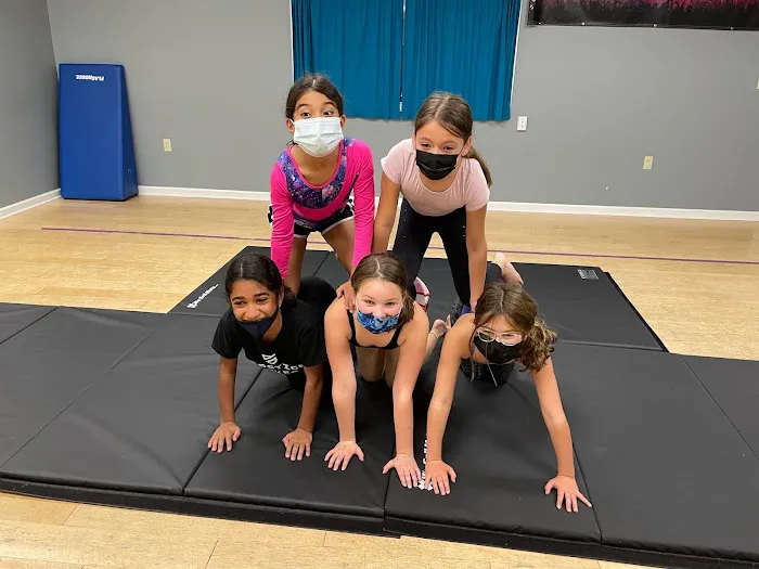 Higher Movement Dance Studio Picture 3
