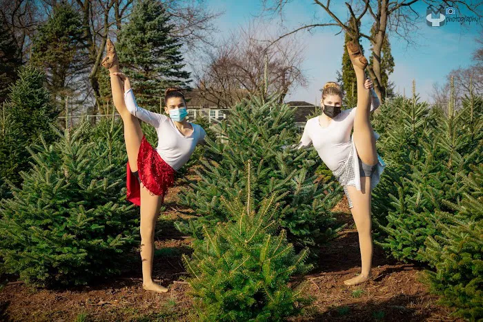 Higher Movement Dance Studio Picture 6