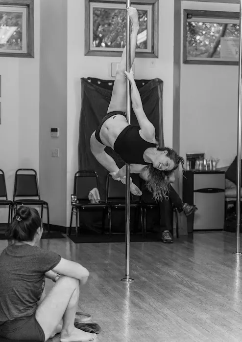 PoleFly Aerial Fitness LLC Picture 5