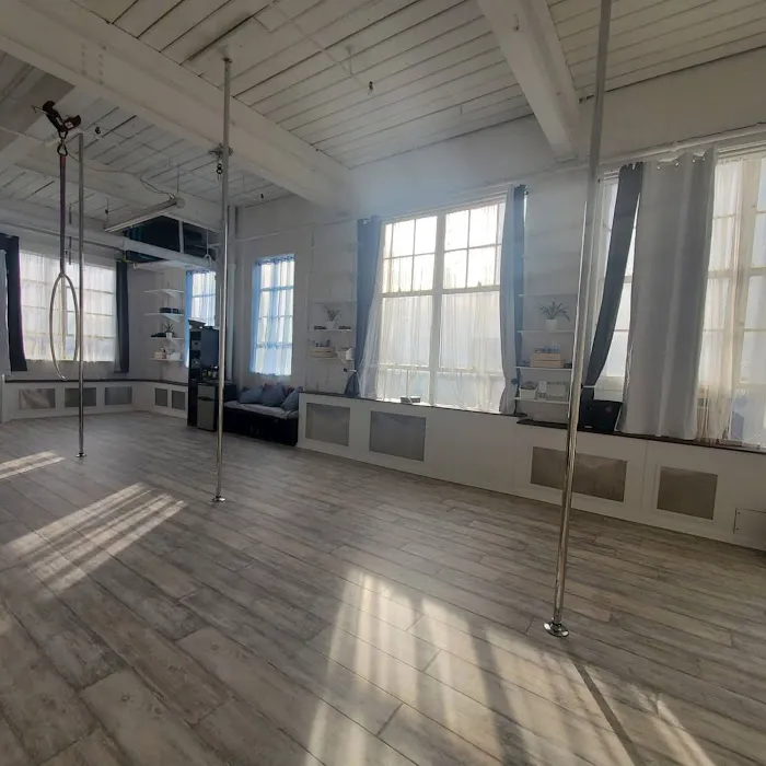 PoleFly Aerial Fitness LLC Picture 9