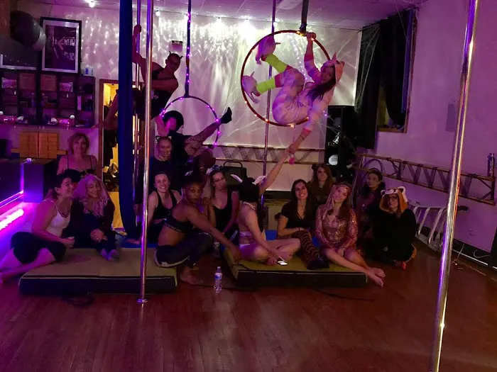 PoleFly Aerial Fitness LLC Picture 8
