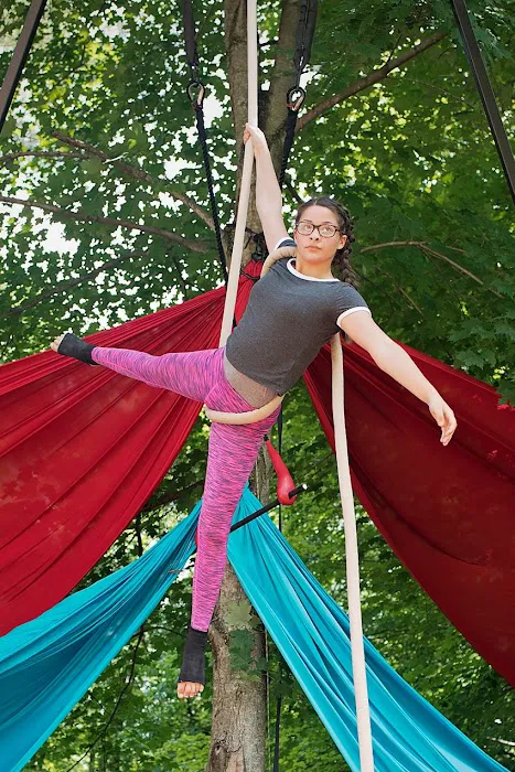 THRIVE Movement Studio Picture 5