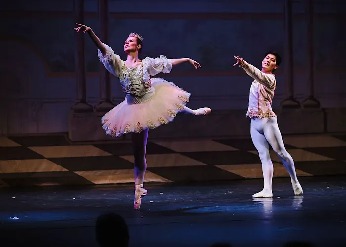 New England Ballet Theatre of CT Picture 3
