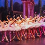 New England Ballet Theatre of CT