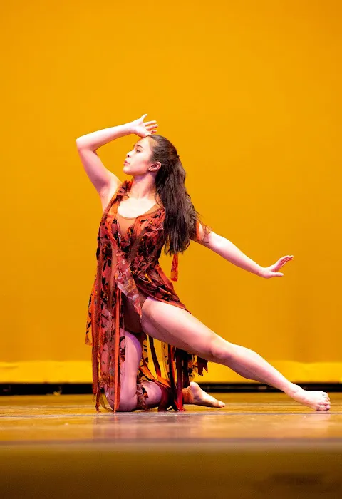 New England Ballet Theatre of CT Picture 5
