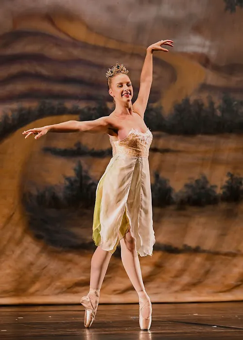 New England Ballet Theatre of CT Picture 9