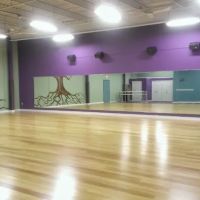 Lisa Matias Dance Centre ico