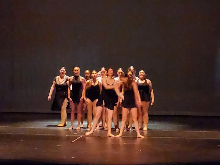 Performing Arts Center Picture 4