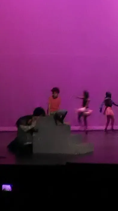 Performing Arts Center Picture 9