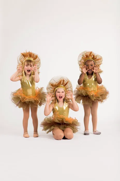 Equilibrium Dance Academy, LLC Picture 4