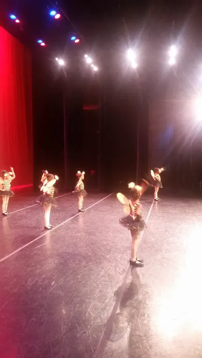 L’levate Dance Studio Picture 7