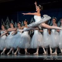 Parkside Academy-Music & Dance ico