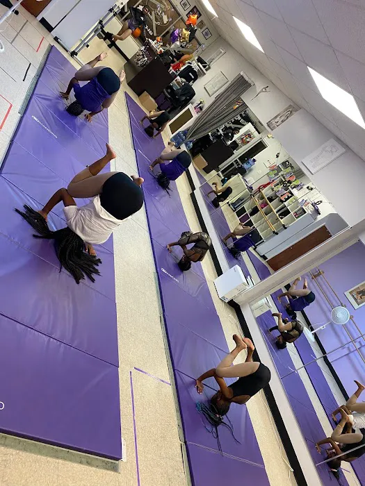 Premiere Dance Academy, LLC Picture 1