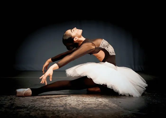 Danza Academy of Social Dance Philadelphia Picture 2