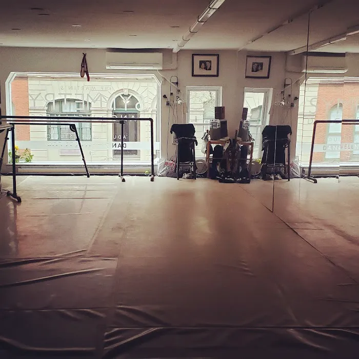 Symmetry Dance Wellness Picture 2