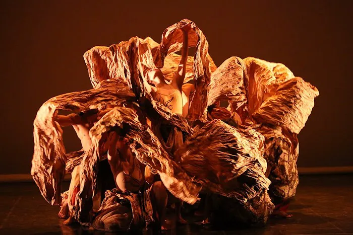 Kun-Yang Lin/Dancers (KYLD) Picture 4