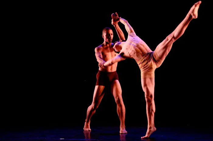 Kun-Yang Lin/Dancers (KYLD) Picture 8