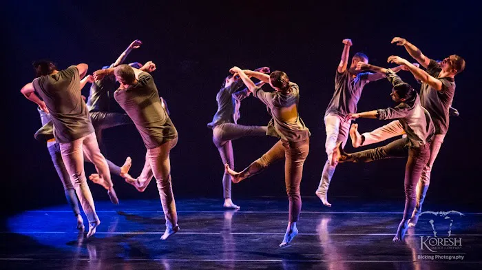 Koresh Dance Company Picture 2