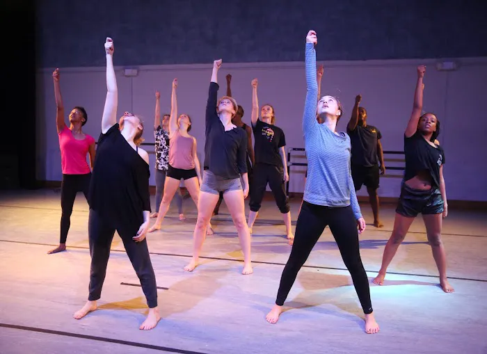 Koresh Dance Company Picture 10