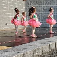 West Chester Dance Works (Diane Matthews School of Dance Arts) ico