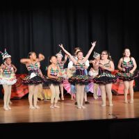 Fireworks Dance Center ico