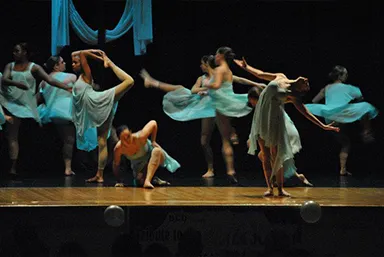Brandywine Center for Dance Picture 2