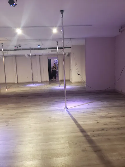 Hypnotic Pole Fitness Picture 4