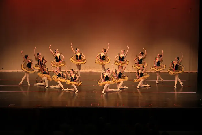 Viktor Yeliohin International Ballet Academy Picture 2
