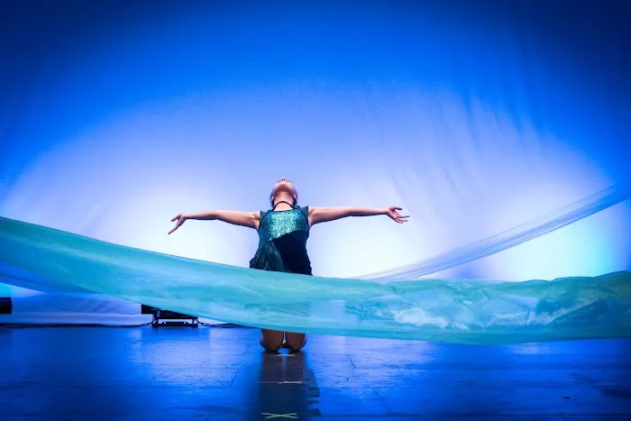 Premiere Dance Academy Picture 2