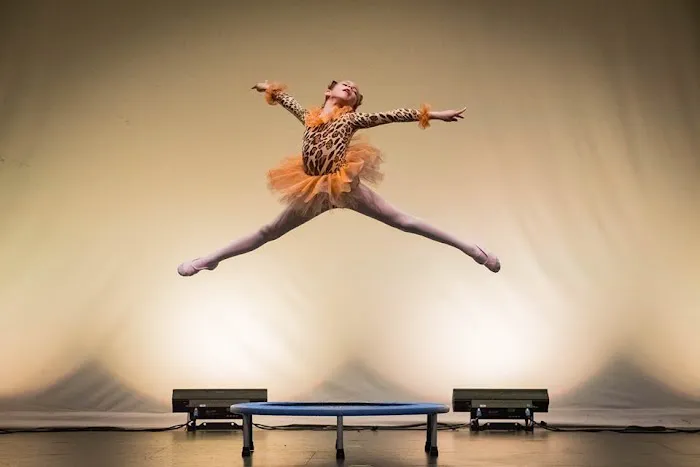 Premiere Dance Academy Picture 3