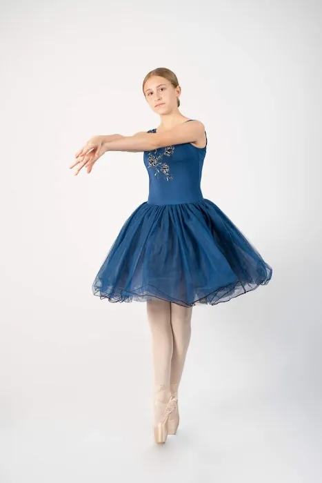 Premiere Dance Academy Picture 6