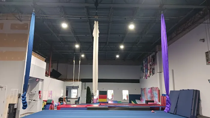 720 Aerial Arts Studio Picture 3