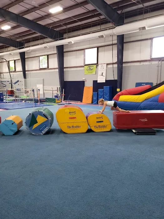 Artistic Sports Academy Plus Picture 3