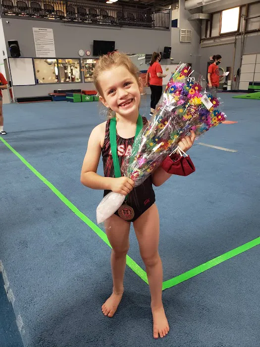 Artistic Sports Academy Plus Picture 6
