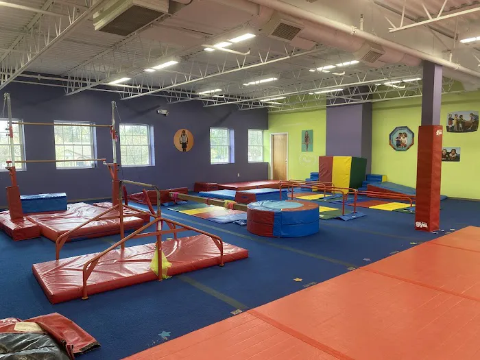 The Little Gym Picture 2