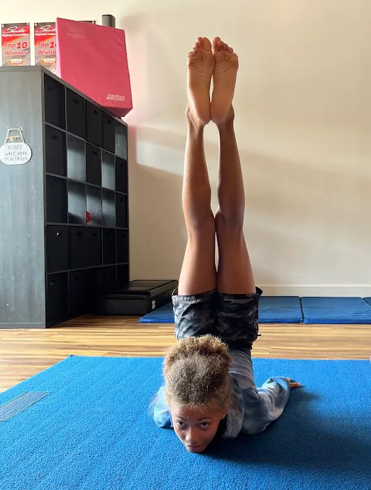 The Spot - Guilford Acrobatics & Co. Picture 3