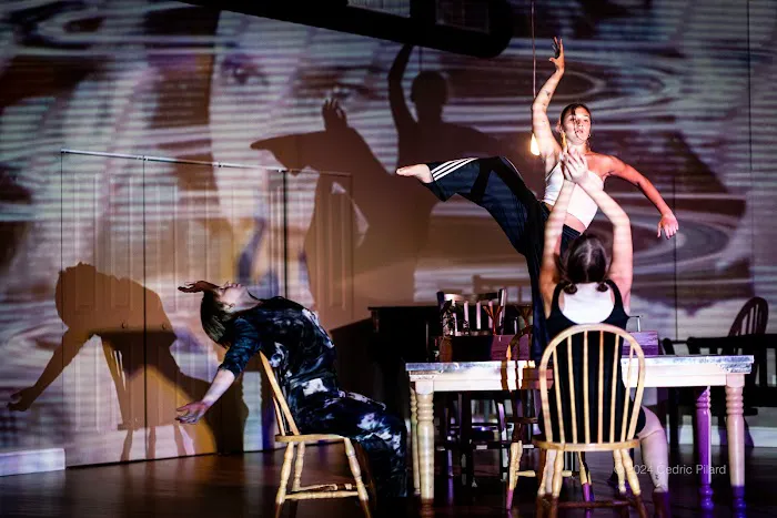 The Hartford Dance Collective Picture 1